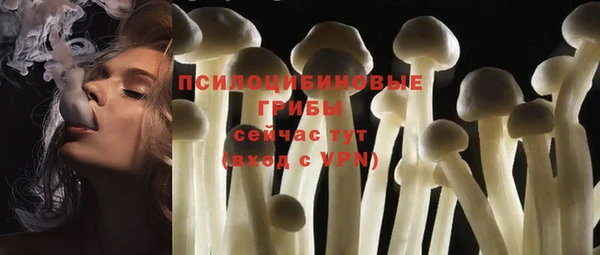 PSILOCYBIN Абинск