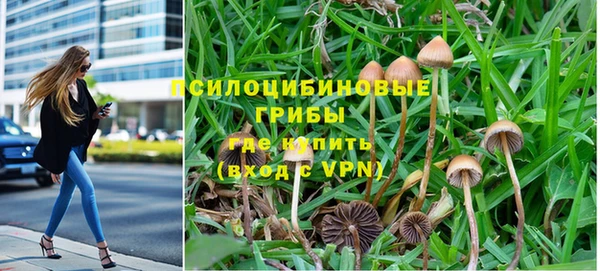 PSILOCYBIN Абинск