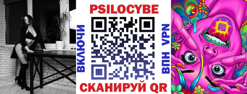 закладки  Невельск  Галлюциногенные грибы мицелий 